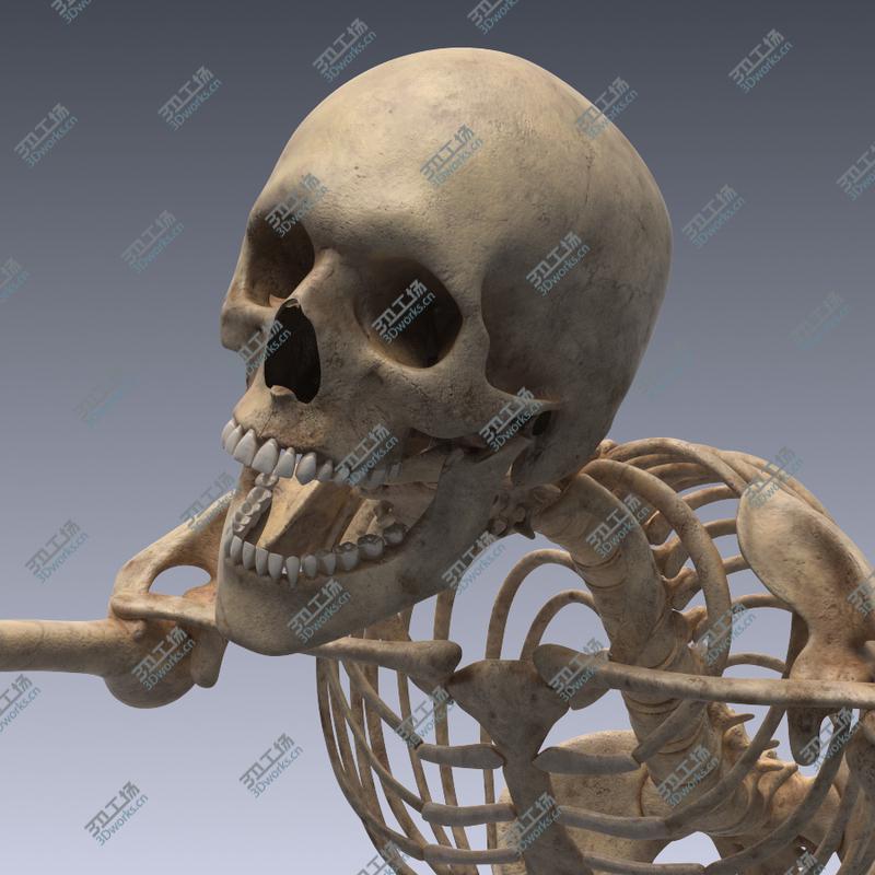 images/goods_img/2021040164/Human skeleton rigged. Animated readlistic vray scene and materials of human skeleton/4.jpg